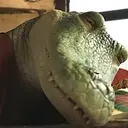 Lilo,Lilo Cocodrilo 6