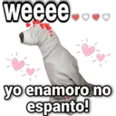 weeee yo enamoro no espanto!