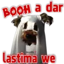 BOOH a dar GeysiOy lastima we