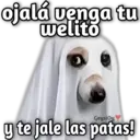 ojalá venga tu welito y te jale las patas!