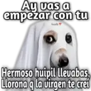 Memes Halloween ️ 23