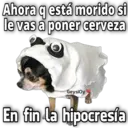 Memes Halloween ️ 13