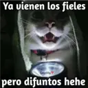 Ya vienen los fieles GeysiOy pero difuntos hehe
