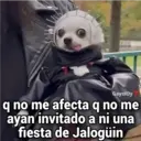 GeysiOy q no me afecta q no me ayan invitado a ni una fiesta de Jalogüin