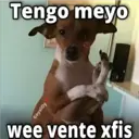 Tengo meyo GeysiOy wee vente xfis