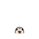 Mischievous pug MOV. 12