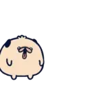 Mischievous pug MOV. 10