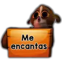 Mort 23