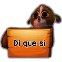 Mort 20