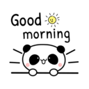 Panda cute 2. 11