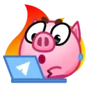 Pig emoji 1 MOV. 2