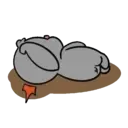 ~ PiGgI RaBbIt GrAy ~ (Mov) 19