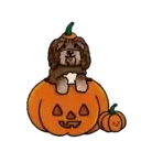 Halloween 1 Movi 15