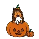 Halloween 1 Movi 16