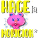 PON PON texto C 12