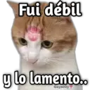 Gatos con Amor ️ 30