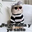 Gatos con Amor ️ 20