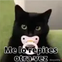 Gatos con Amor ️ 26