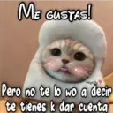 Gatos con Amor ️ 2