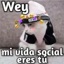 Gatos con Amor ️ 9