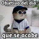 Gatos con Amor ️ 21