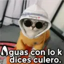 Gatos con Amor ️ 4