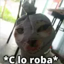 Gatos con Amor ️ 28