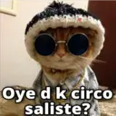 Gatos con Amor ️ 27