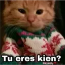 Gatos con Amor ️ 29