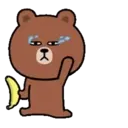 Bear with bad eyes 3 5