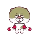 Bread Cat & Cactus Cat 13