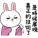 BROWN & FRIENDS-Cony兔兔愛起來3 1 5
