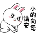 BROWN & FRIENDS-Cony兔兔愛起來3 2 17