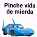 Pinche vida de mierda 43