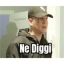 Ne Diggi