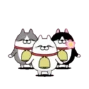 Moving 3 scruffy cats 16 13