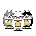 Moving 3 scruffy cats 16 5