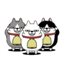 Moving 3 scruffy cats 16 18