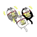 Moving 3 scruffy cats 16 24