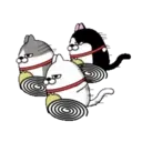 Moving 3 scruffy cats 16 6