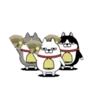 Moving 3 scruffy cats 16 3
