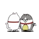 Moving 3 scruffy cats 16 4