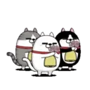 Moving 3 scruffy cats 16 11