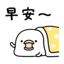 Noisy Chicken 5