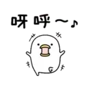 Noisy Chicken 12