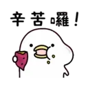 Noisy Chicken 14