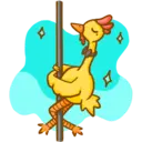 poulet(chicken) 11