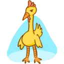 poulet(chicken) 1