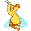 poulet(chicken) 8