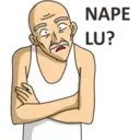 POT
((.)₂
NAPE
LU?